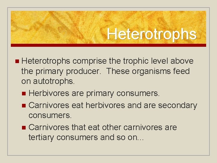 Heterotrophs n Heterotrophs comprise the trophic level above the primary producer. These organisms feed