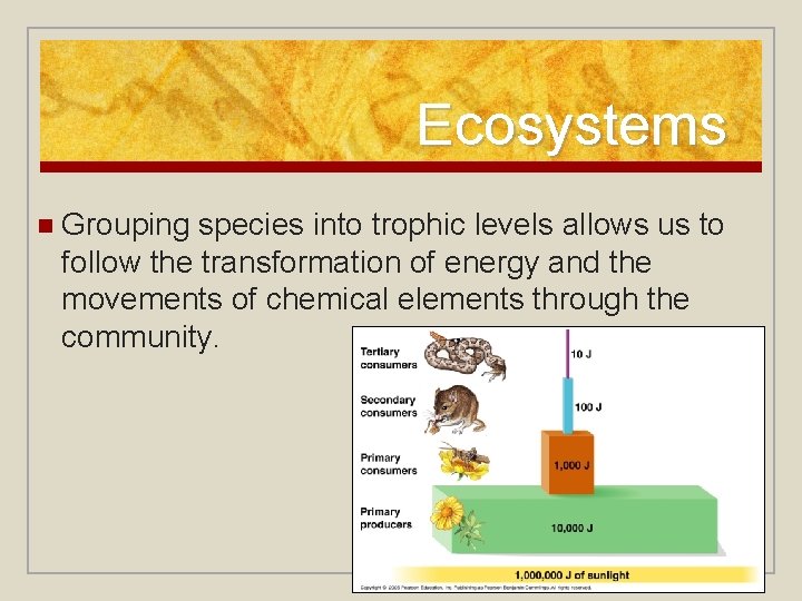 Ecosystems n Grouping species into trophic levels allows us to follow the transformation of