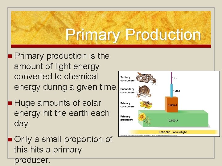 Primary Production n Primary production is the amount of light energy converted to chemical