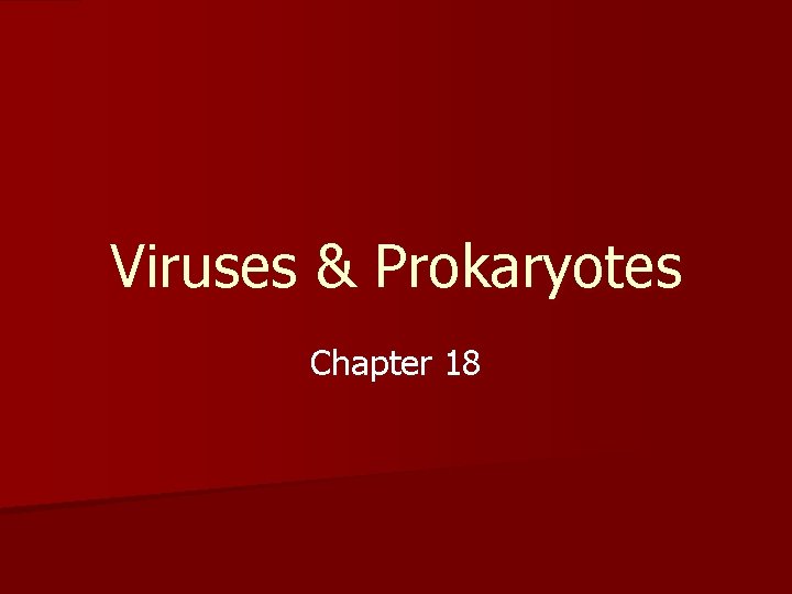 Viruses Prokaryotes Chapter 18 Viruses bacteria viroids and