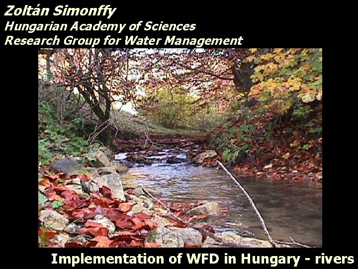 Zoltán Simonffy Hungarian Academy of Sciences Research Group for Water Management Implementation of WFD