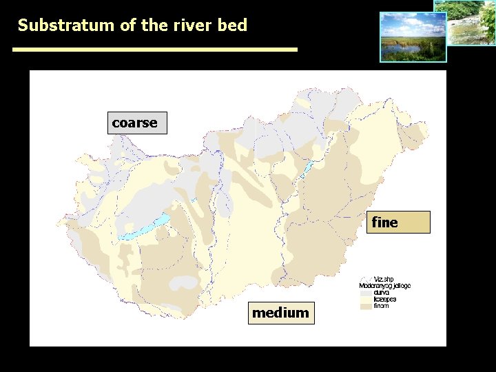 Substratum of the river bed coarse fine medium 