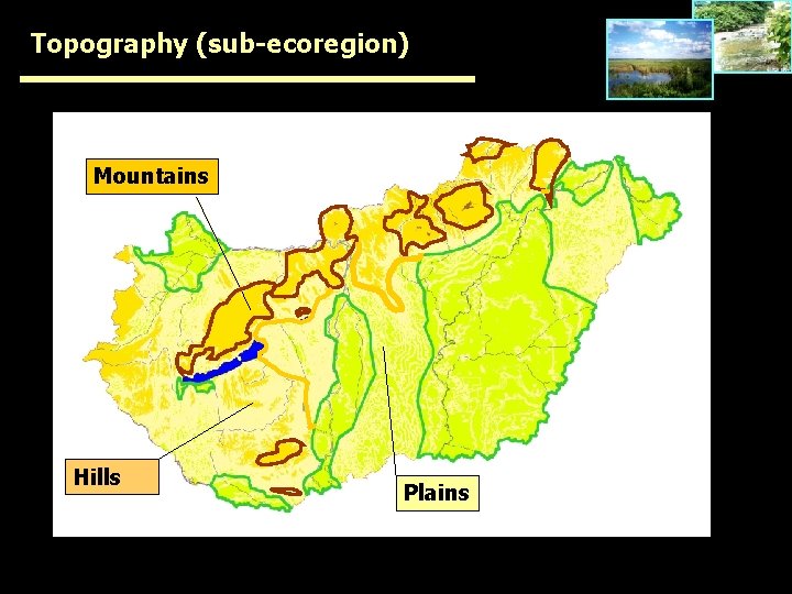 Topography (sub-ecoregion) Mountains Releváns morfológiai jellemzők Hills Plains 