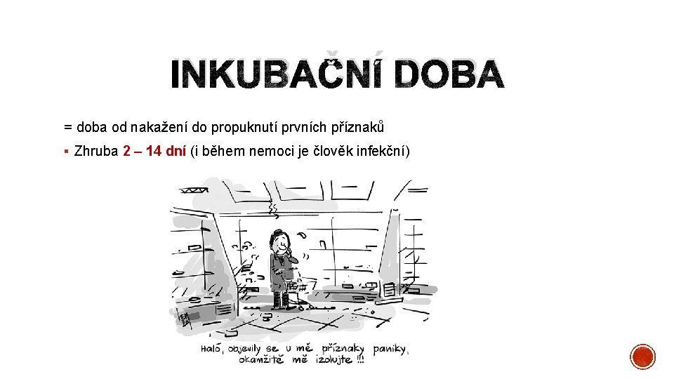 INKUBAČNÍ DOBA = doba od nakažení do propuknutí prvních příznaků § Zhruba 2 –