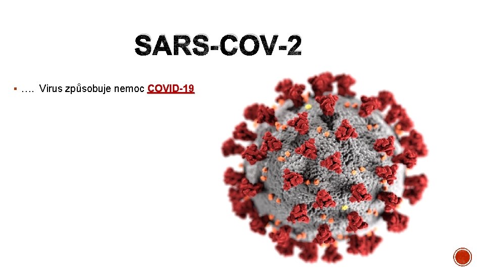 SARS-COV-2 § …. Virus způsobuje nemoc COVID-19 