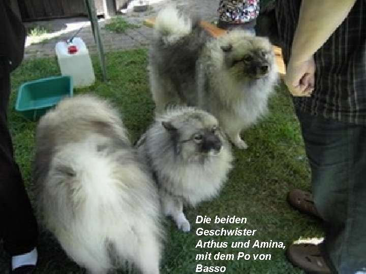 Die beiden Geschwister Arthus und Amina, mit dem Po von Basso 