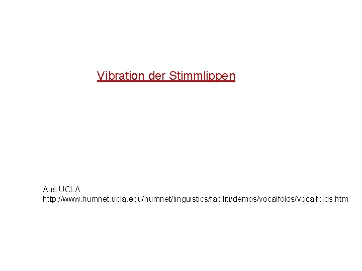 Vibration der Stimmlippen Aus UCLA http: //www. humnet. ucla. edu/humnet/linguistics/faciliti/demos/vocalfolds. htm 