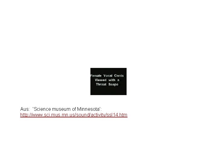 Aus: ‘Science museum of Minnesota’: http: //www. sci. mus. mn. us/sound/activity/ssl 14. htm 