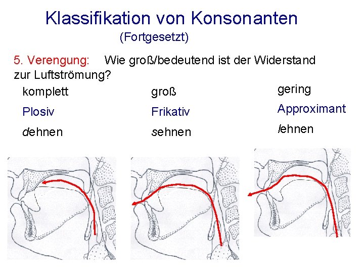 Klassifikation von Konsonanten (Fortgesetzt) 5. Verengung: Wie groß/bedeutend ist der Widerstand zur Luftströmung? gering