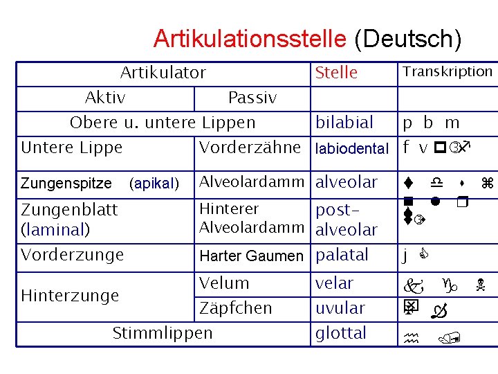 Artikulationsstelle (Deutsch) Transkription Artikulator Stelle Aktiv Passiv Obere u. untere Lippen bilabial p b