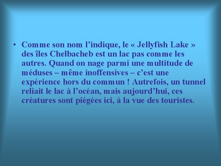 • Comme son nom l’indique, le « Jellyfish Lake » des îles Chelbacheb