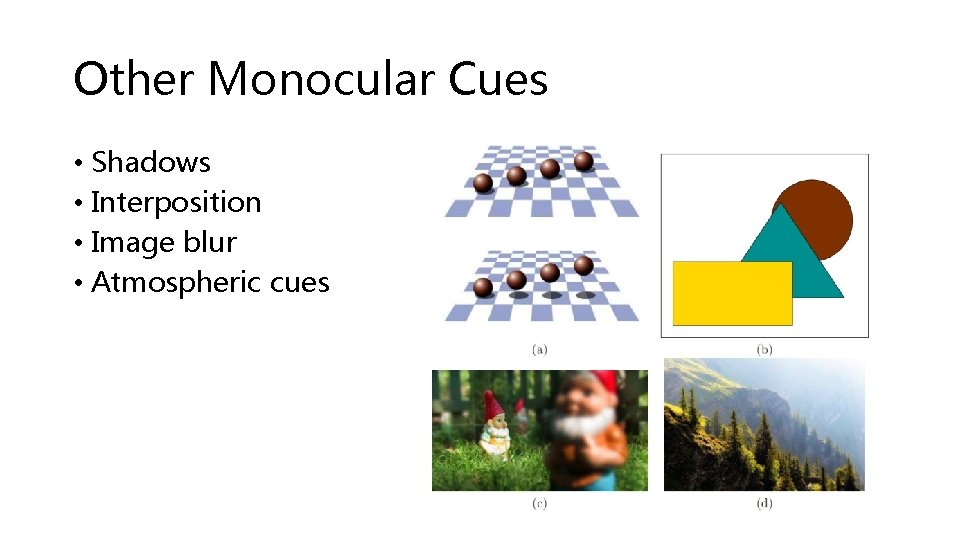 Other Monocular Cues • Shadows • Interposition • Image blur • Atmospheric cues 