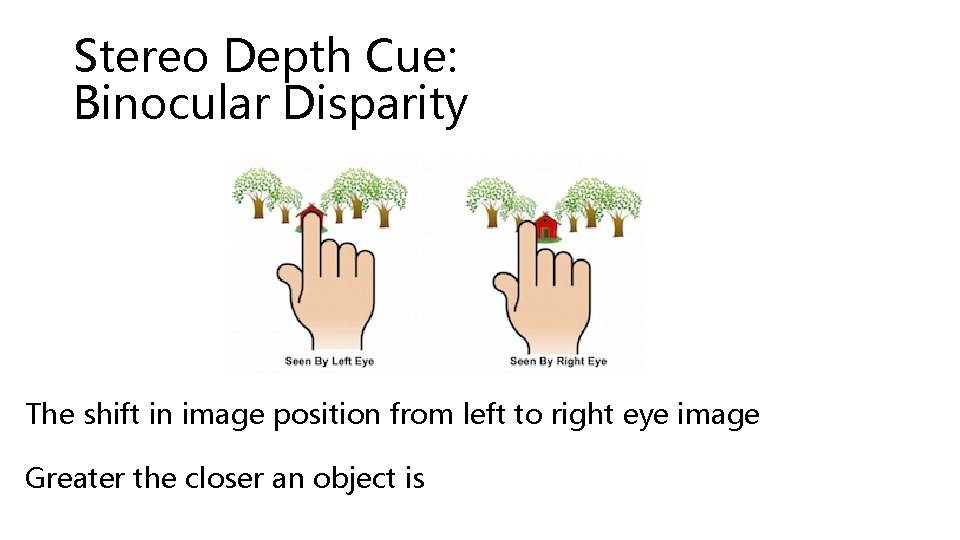 Stereo Depth Cue: Binocular Disparity The shift in image position from left to right