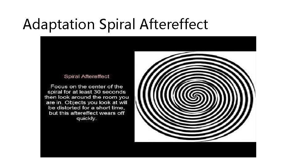 Adaptation Spiral Aftereffect 