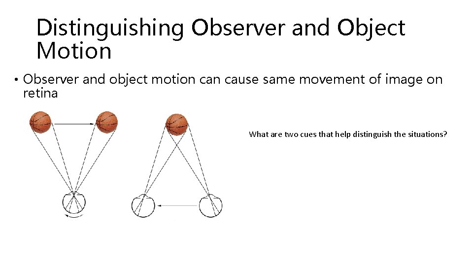 Distinguishing Observer and Object Motion • Observer and object motion cause same movement of