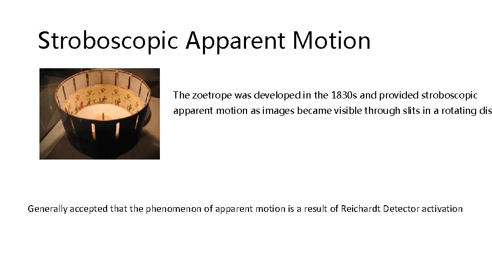 Stroboscopic Apparent Motion The zoetrope was developed in the 1830 s and provided stroboscopic