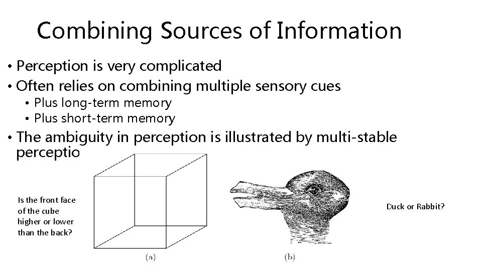 Combining Sources of Information • Perception is very complicated • Often relies on combining