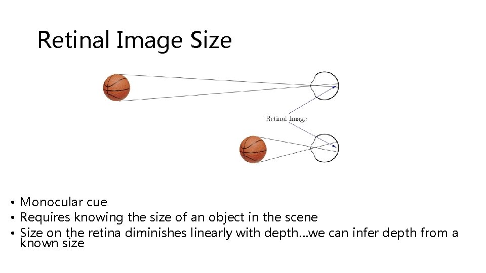 Retinal Image Size • Monocular cue • Requires knowing the size of an object