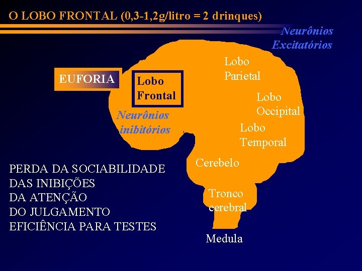 O LOBO FRONTAL (0, 3 -1, 2 g/litro = 2 drinques) Neurônios Excitatórios EUFORIA