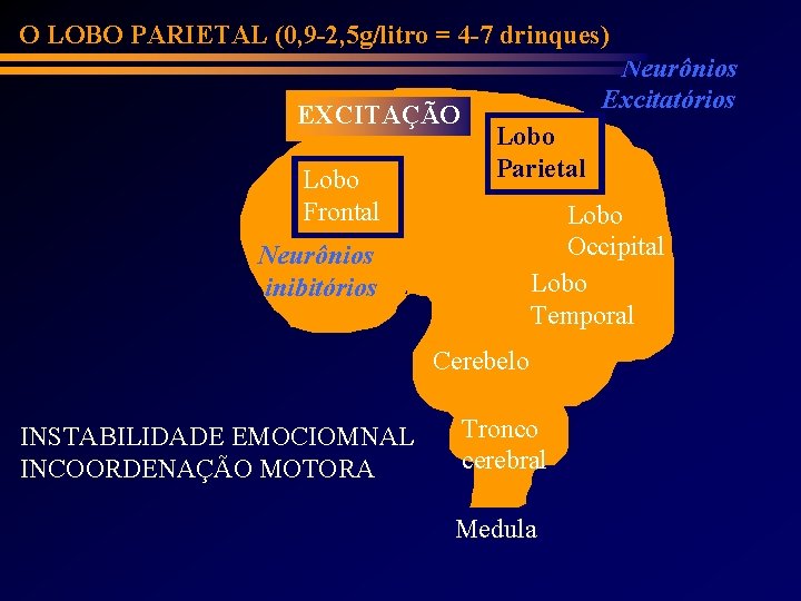 O LOBO PARIETAL (0, 9 -2, 5 g/litro = 4 -7 drinques) EXCITAÇÃO Lobo