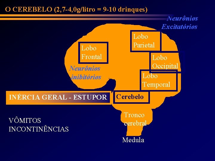 O CEREBELO (2, 7 -4, 0 g/litro = 9 -10 drinques) Neurônios Excitatórios Lobo