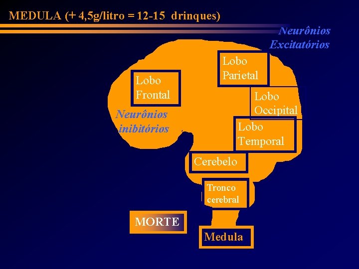 MEDULA (+ 4, 5 g/litro = 12 -15 drinques) Neurônios Excitatórios Lobo Frontal Lobo