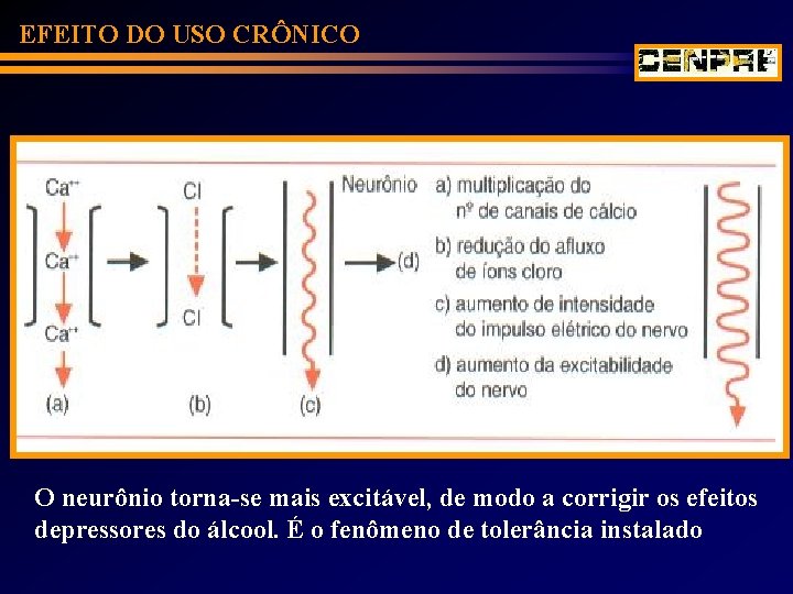 EFEITO DO USO CRÔNICO O neurônio torna-se mais excitável, de modo a corrigir os