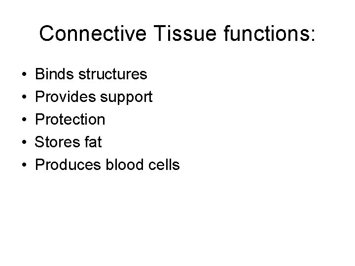 Connective Tissue functions: • • • Binds structures Provides support Protection Stores fat Produces