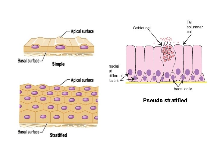 Pseudo stratified 