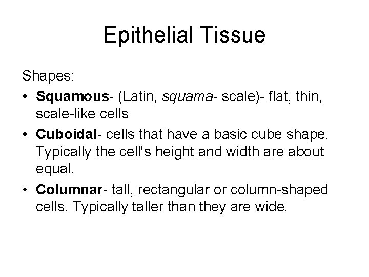 Epithelial Tissue Shapes: • Squamous- (Latin, squama- scale)- flat, thin, scale-like cells • Cuboidal-