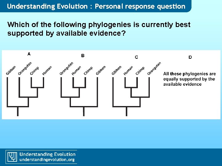 Understanding Evolution : Personal response question Which of the following phylogenies is currently best