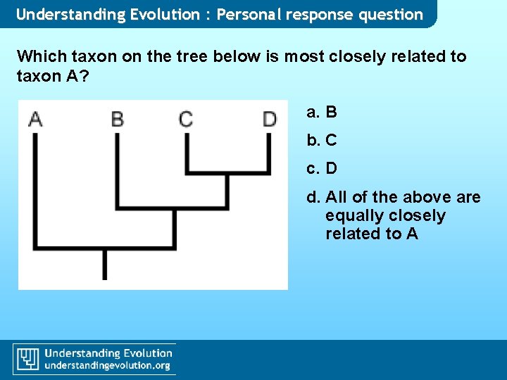 Understanding Evolution : Personal response question Which taxon on the tree below is most