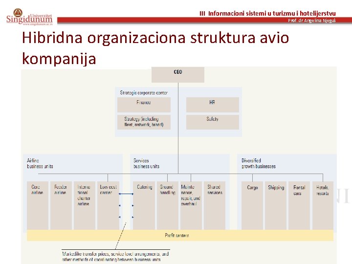 III Informacioni sistemi u turizmu i hotelijerstvu Prof. dr Angelina Njeguš Hibridna organizaciona struktura