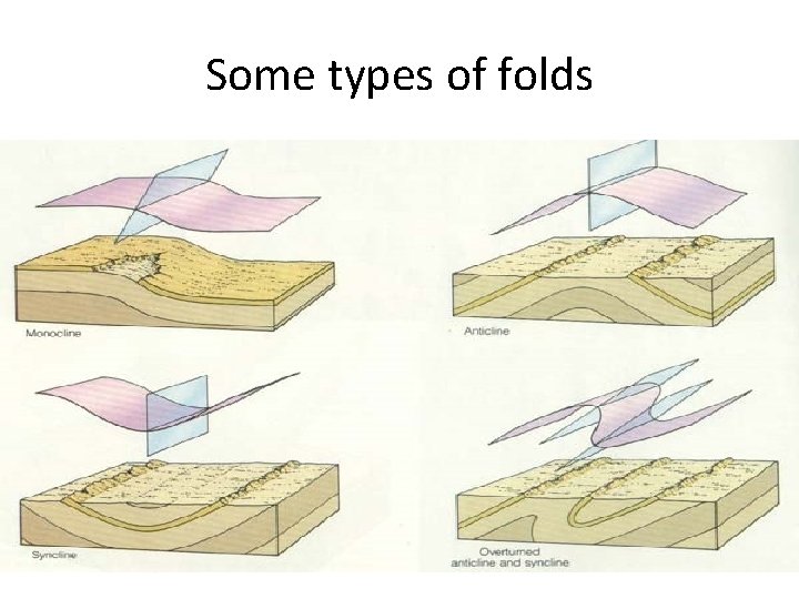 Some types of folds 