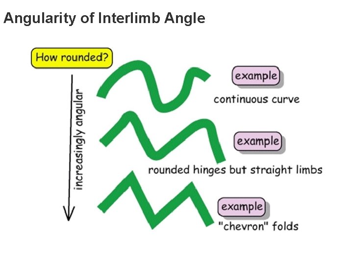 Angularity of Interlimb Angle 