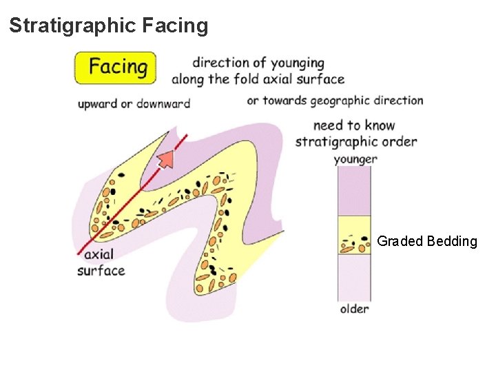 Stratigraphic Facing Graded Bedding 