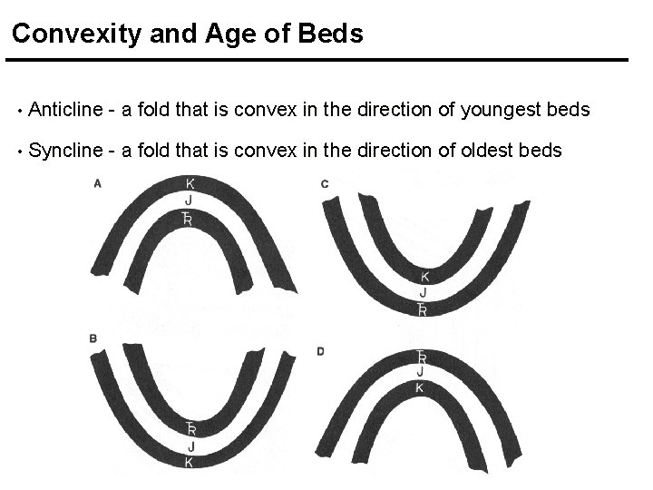 Convexity and Age of Beds • Anticline - a fold that is convex in