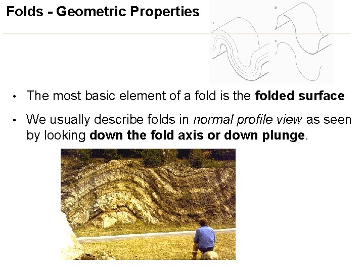 Folds - Geometric Properties • The most basic element of a fold is the