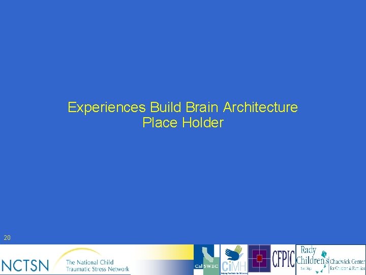 Experiences Build Brain Architecture Place Holder 20 