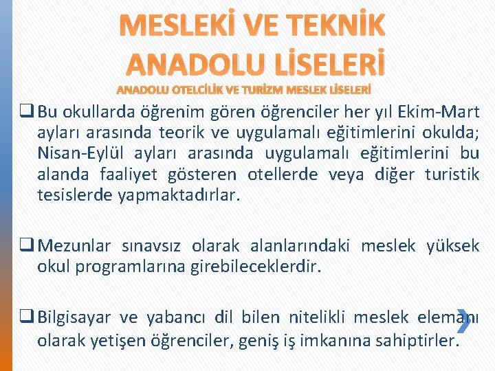 MESLEKİ VE TEKNİK ANADOLU LİSELERİ ANADOLU OTELCİLİK VE TURİZM MESLEK LİSELERİ q Bu okullarda