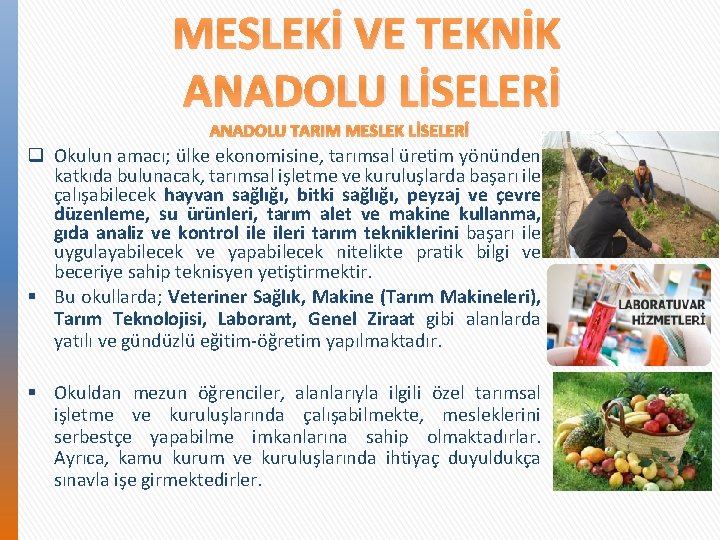 MESLEKİ VE TEKNİK ANADOLU LİSELERİ ANADOLU TARIM MESLEK LİSELERİ q Okulun amacı; ülke ekonomisine,