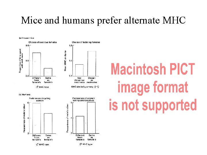 Mice and humans prefer alternate MHC 
