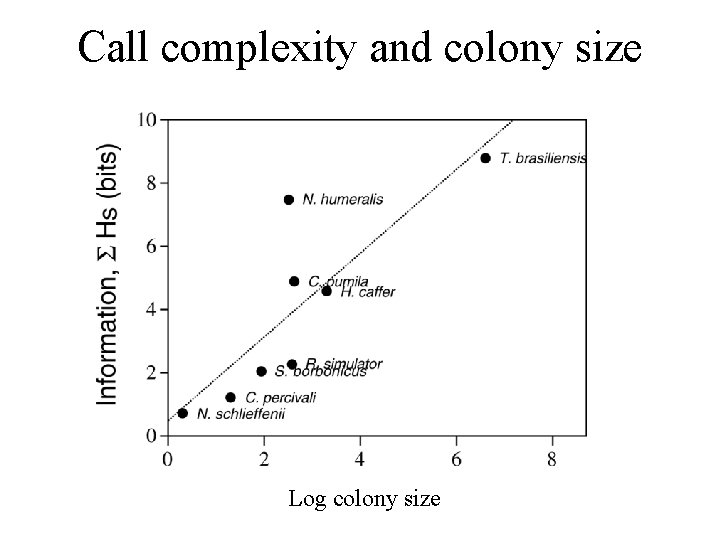 Call complexity and colony size Log colony size 