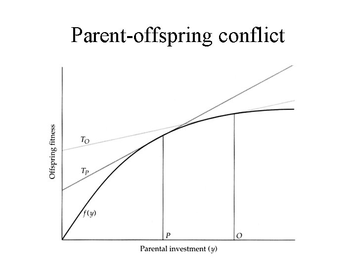 Parent-offspring conflict 