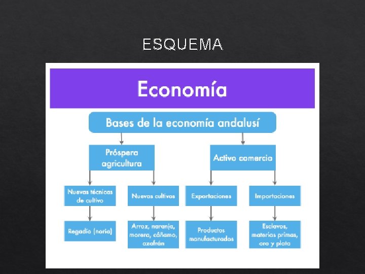 ESQUEMA 