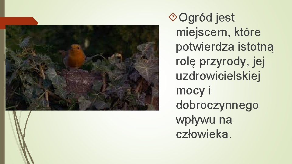  Ogród jest miejscem, które potwierdza istotną rolę przyrody, jej uzdrowicielskiej mocy i dobroczynnego