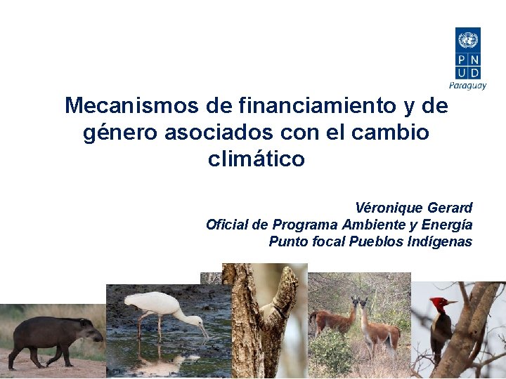 Mecanismos de financiamiento y de género asociados con el cambio climático Véronique Gerard Oficial