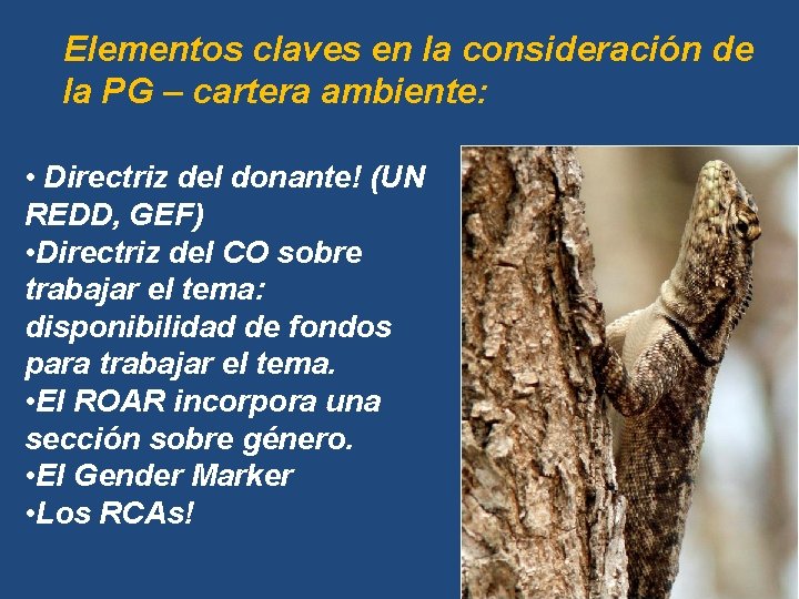 Elementos claves en la consideración de la PG – cartera ambiente: • Directriz del