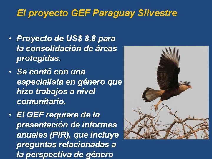 El proyecto GEF Paraguay Silvestre • Proyecto de US$ 8. 8 para la consolidación