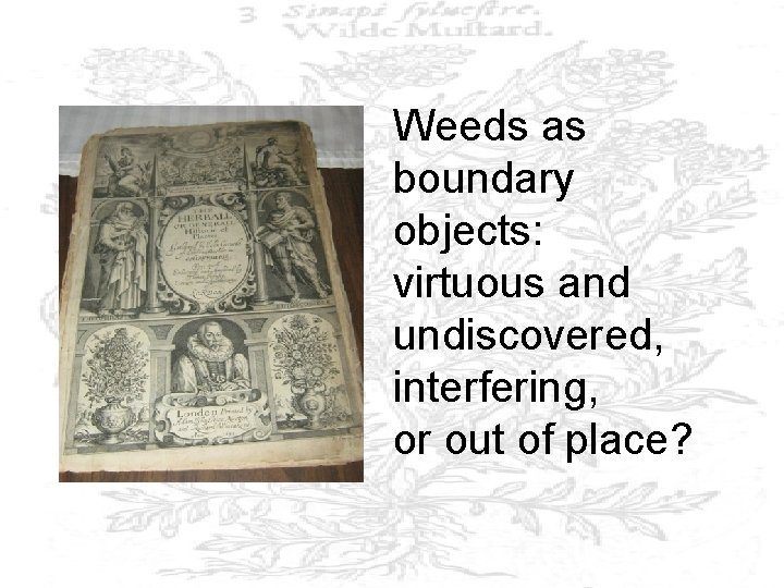 Weeds as boundary objects: virtuous and undiscovered, interfering, or out of place? 